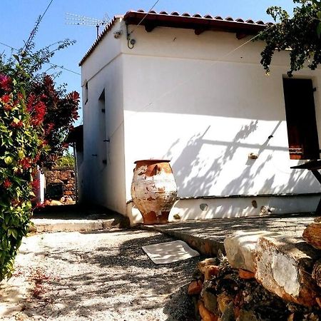 Afrodite'S House-Restaurated Oil Factory Agia  외부 사진